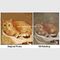 Cat Portrait Oil Painting Hand - pintada com textura para transformar sua foto em uma pintura